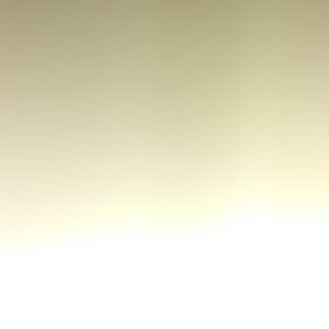 Meet your Posher, Nickie